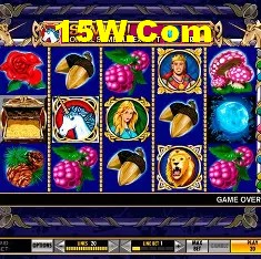 Fortune Games Series